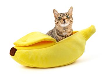 Spralla Banane Katzenbett